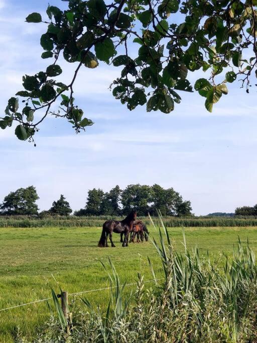 Tiny House "De Veenpolder" De Veenhoop Экстерьер фото